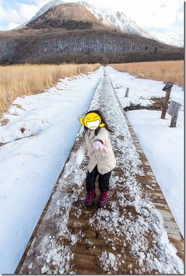 九重の雪原と子供