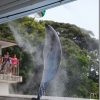 イルカショーを撮ってみる! うまく撮れるかな?