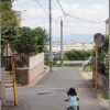 RAW現像ソフトを比較する Lightroom 5、SILKYPIX Pro5、PhotoDirector 5(その1)