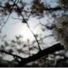 EOS M3の良いとこ、悪いとこレポート