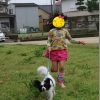 CANON EOS M3のAF性能 子供と犬でお試しレポート