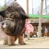 EOS M3で動物や子供を撮る バリアングル液晶が便利
