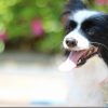 EF50mm F1.4とEOS M3 マウントアダプタで使用レポート