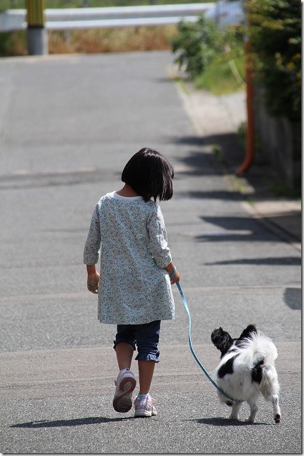 SIGMA 18-300mm F3.5-6.3 DC MACRO OS HSM 望遠側