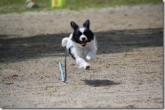 IMG_4130 IMG_4130