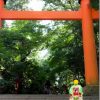 七五三のカメラとレンズ