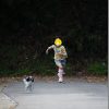 SIGMA 18-300mm Contemporary レビュー(子供と犬走るAF性能2)