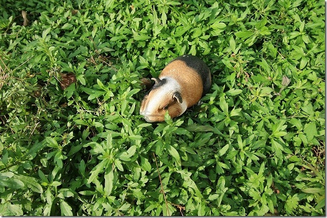 EF-S 10-18mmで撮影