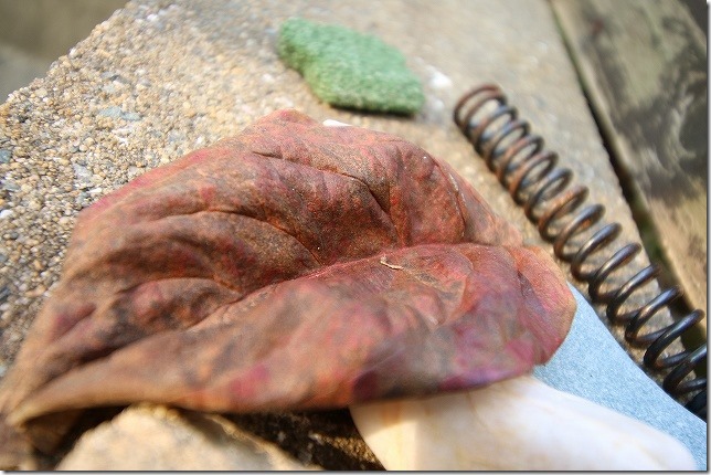 EF-S 10-18mmで撮影