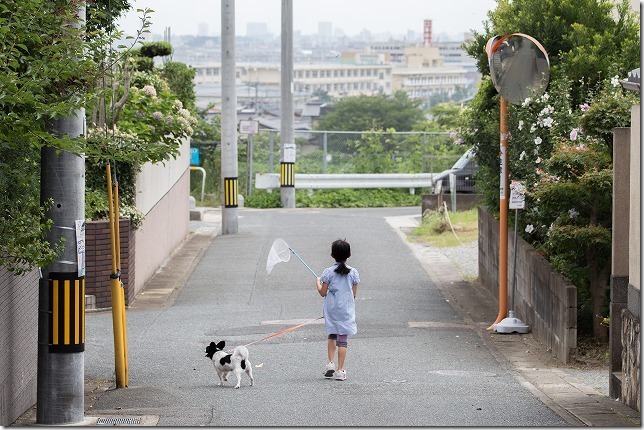 子供と犬をTAMRON90mmVCで撮影