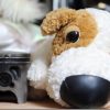 新旧TAMRON 90mmマクロレンズを比較