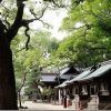 XF 23mm F1.4のレビュー その2(解像度、逆光特性、スナップ)