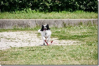 P1020391 P1020391