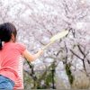 X-T1とXF 90mmで桜 満開の桜を撮影