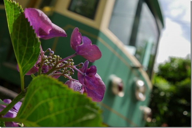 14-140mm/F3.5-5.6で4KPHOTOで江ノ電