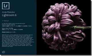 RAW現像ソフトをお試し比較(Luminar/SILKYPIX/AfterShot Pro)