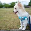 7artisans 25mm F1.8で子犬を撮影レビュー