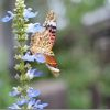 7artisans 25mm F1.8の解像度