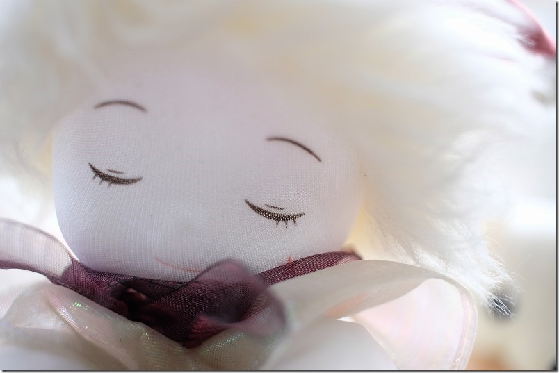 EF-S24mmF2.8を最短撮影距離で撮影 EF-S24mmF2.8を最短撮影距離で撮影