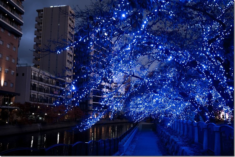 EF-S 24mm F2.8 STMのクリスマスイルミネーションの撮影レビュー(夜の街並と川沿いのイルミネーション)