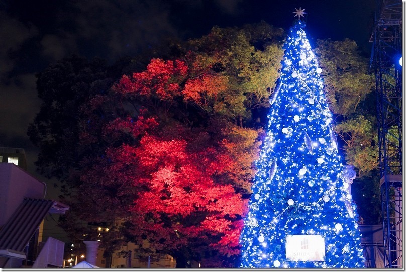 XF35mm F1.4 Rのクリスマスイルミネーションの撮影レビュー(クリスマスツリーとライトアップ) XF35mm F1.4 Rのクリスマスイルミネーションの撮影レビュー(クリスマスツリーとライトアップ)