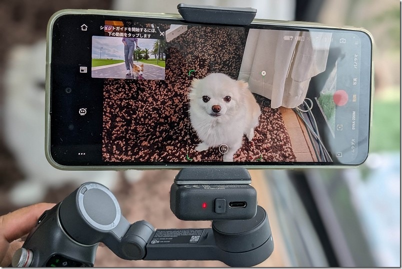 【スマホ ジンバルで犬を撮影】DJI Osmo Mobile 7P 初使用レビュー