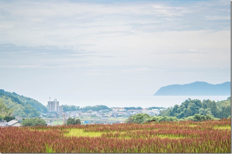 PENTAX K30 と FA 80-320mm 撮影レビュー 80mmの広角端で遠景