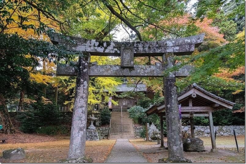 windowsフォトとgoogleフォトの削除結果を比較 googleフォトで削除した結果