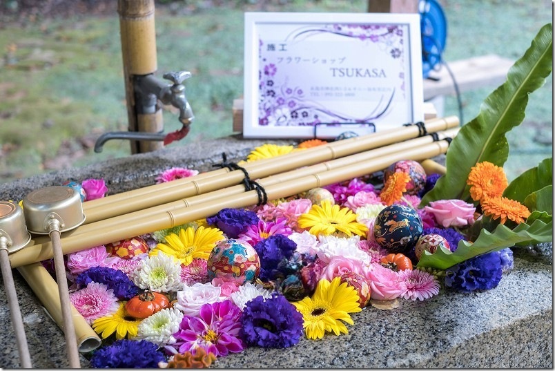 windowsフォトとgoogleフォトの削除結果を比較 windowsフォトで削除した結果