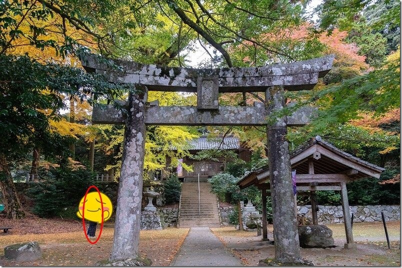 元画像 赤丸が削除対象