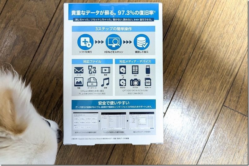 データ復元に「EaseUS 復元 by Data Recovery Wizard Pro パッケージ版 for Windows」を購入