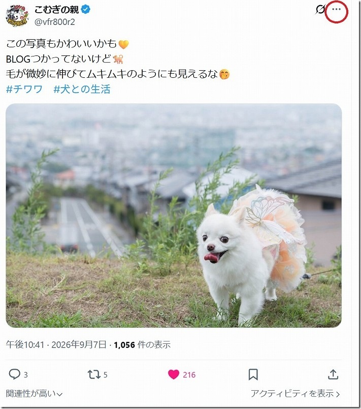 Xの「いいね」や「リポスト」してくれた人を確認する方法(手順1)|PC・ブラウザ編 Xの「いいね」や「リポスト」してくれた人を確認する方法(手順1)|PC・ブラウザ編