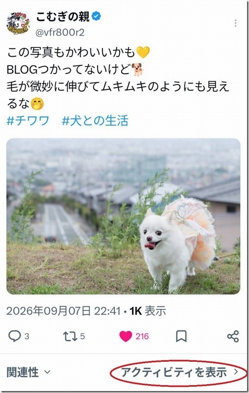 Xの「いいね」や「リポスト」してくれた人を確認する方法(手順1)|スマホ・PC共通編 Xの「いいね」や「リポスト」してくれた人を確認する方法(手順1)|スマホ・PC共通編