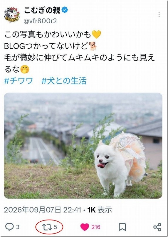 スマホ編｜Xのアクティビティを表示が出ない場合の対応方法